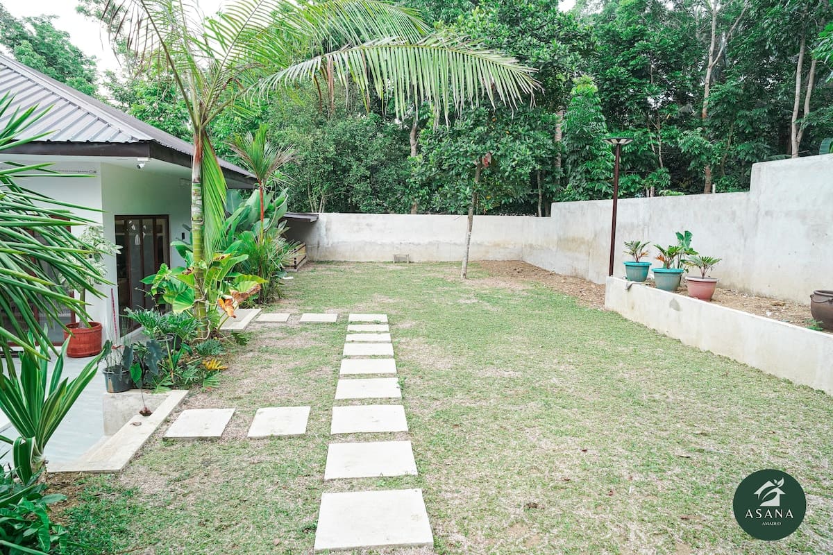 Back garden and lawn with a stepping-stone path