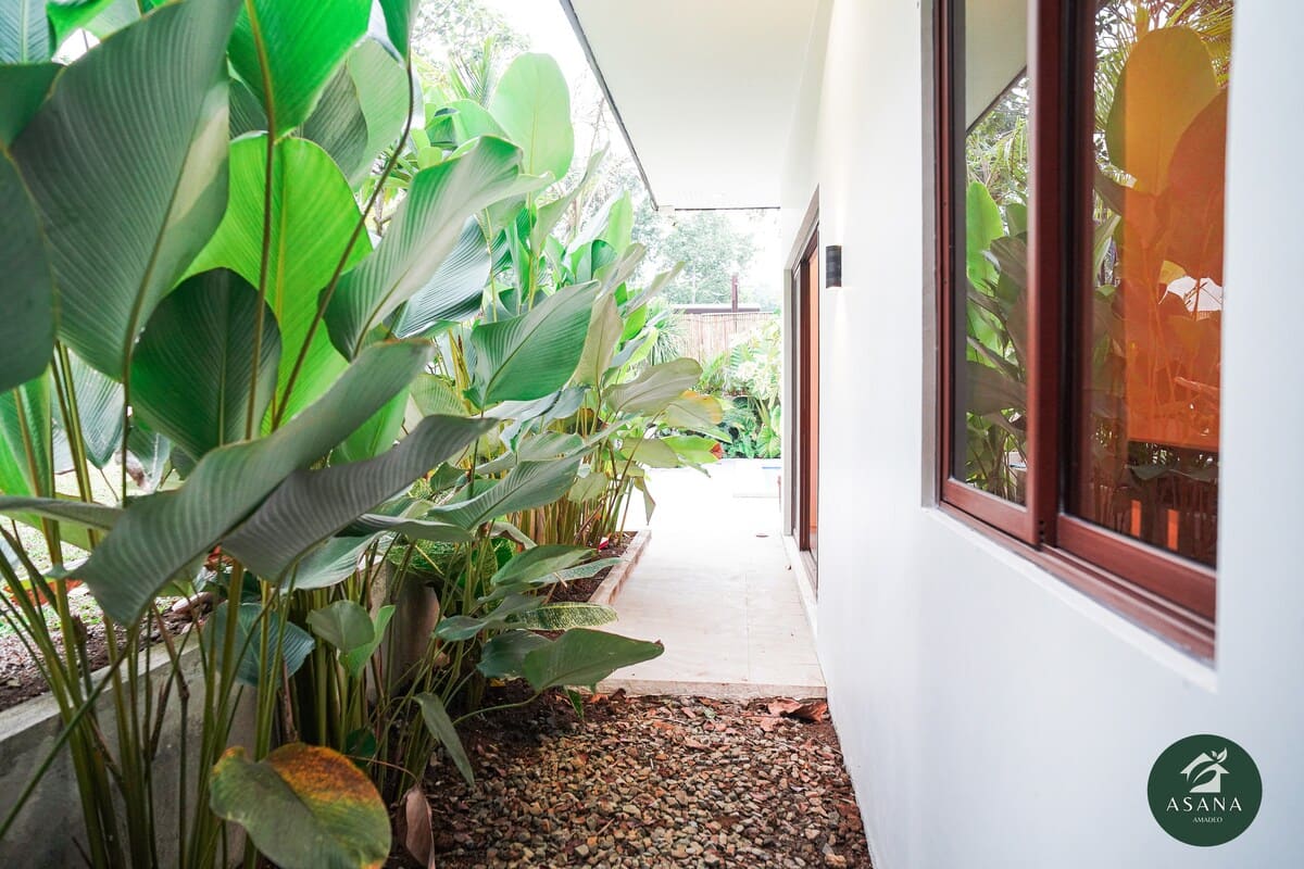 Side garden walkway leading toward the pool