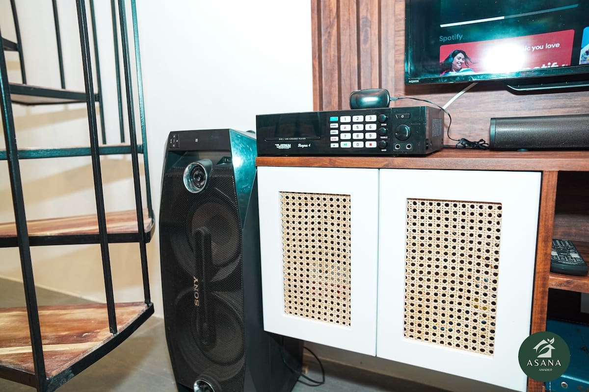 Karaoke sound system and speaker set up beside the TV