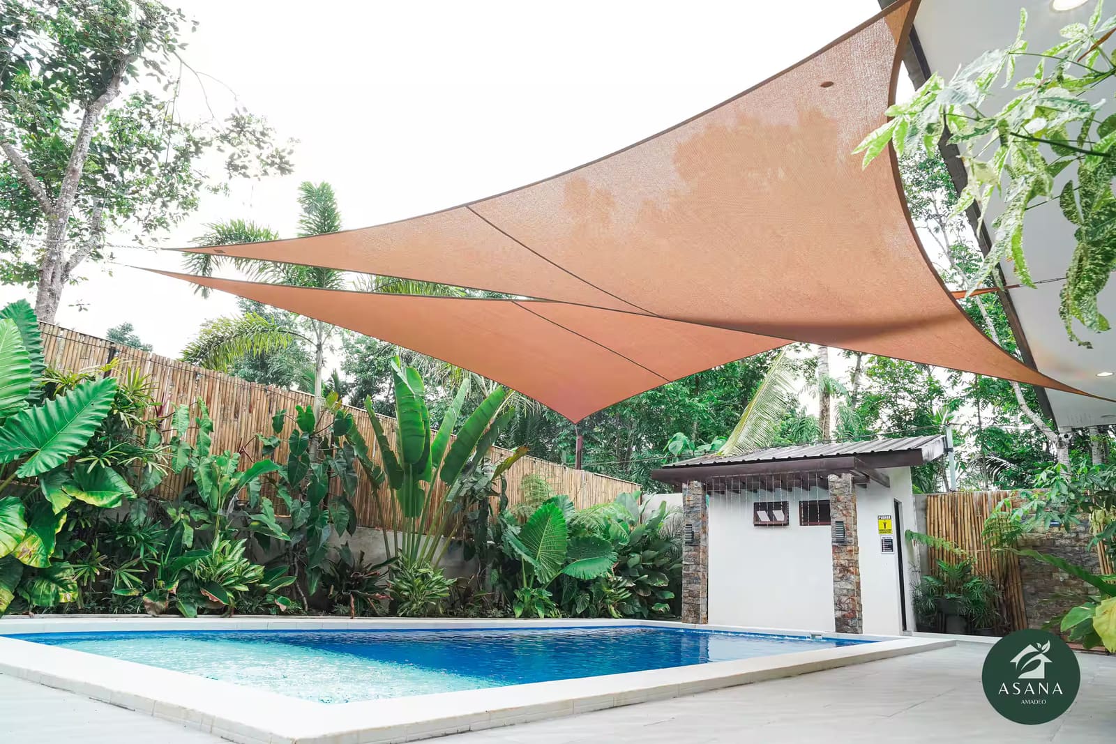 Pool shaded by the triangular sail, with the outdoor restroom and bamboo fence beyond